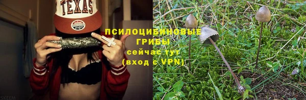 первитин Армянск